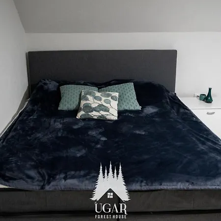 Holiday home Forest House Ugar Lukavac (Tuzla)